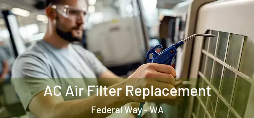  AC Air Filter Replacement Federal Way - WA