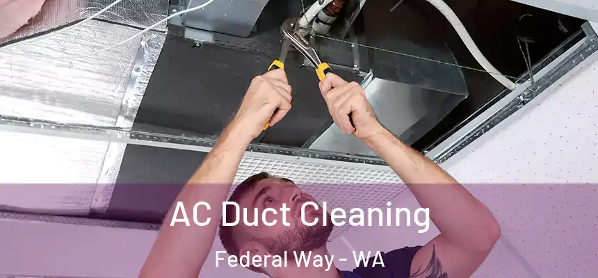  AC Duct Cleaning Federal Way - WA