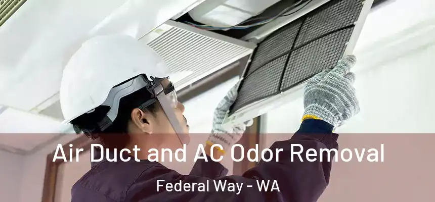  Air Duct and AC Odor Removal Federal Way - WA