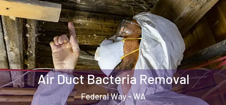 Air Duct Bacteria Removal Federal Way - WA