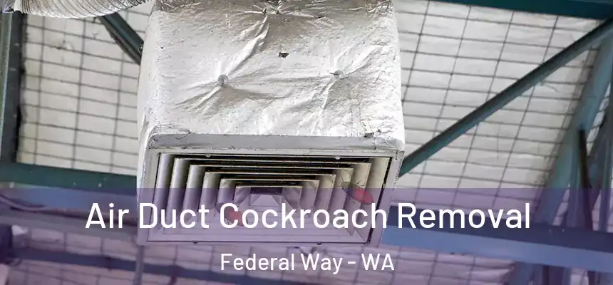 Air Duct Cockroach Removal Federal Way - WA