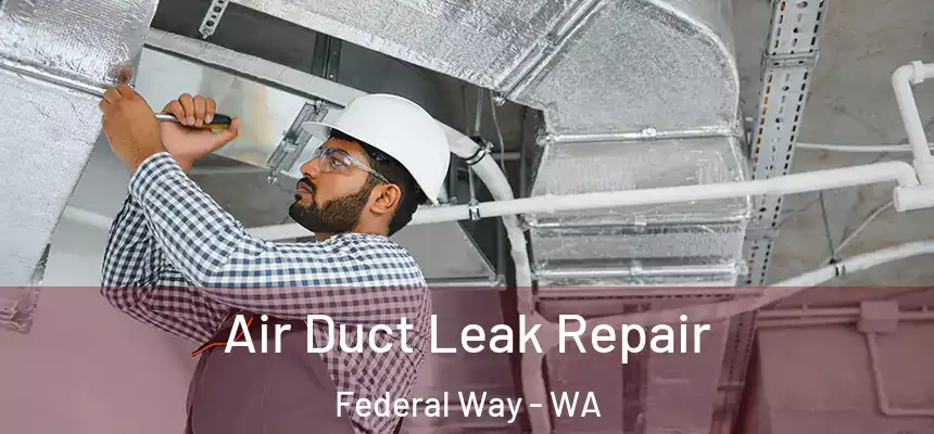 Air Duct Leak Repair Federal Way - WA