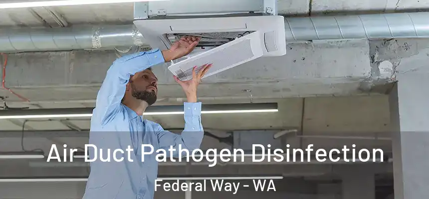 Air Duct Pathogen Disinfection Federal Way - WA