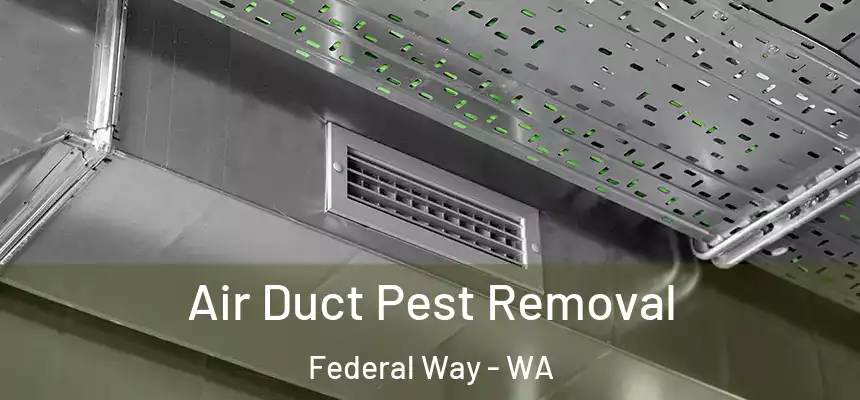 Air Duct Pest Removal Federal Way - WA
