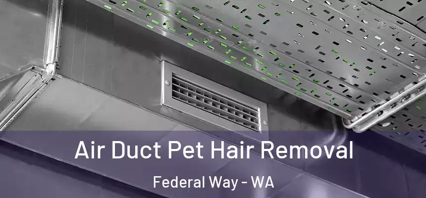 Air Duct Pet Hair Removal Federal Way - WA