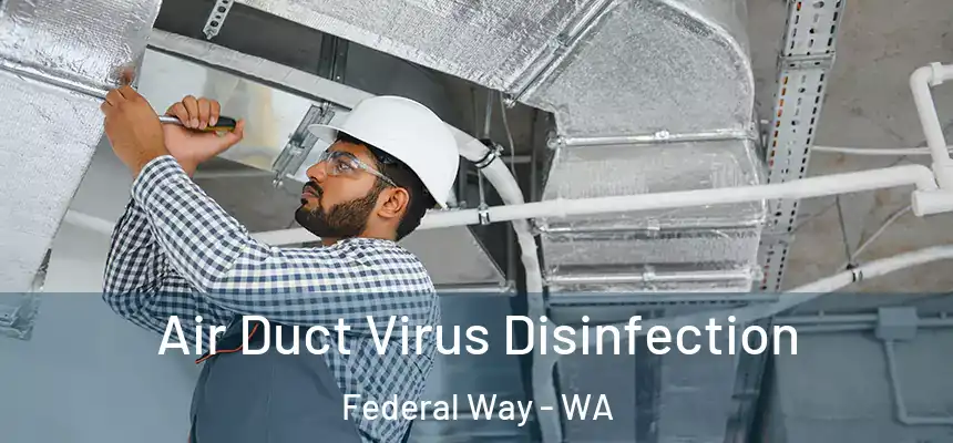  Air Duct Virus Disinfection Federal Way - WA