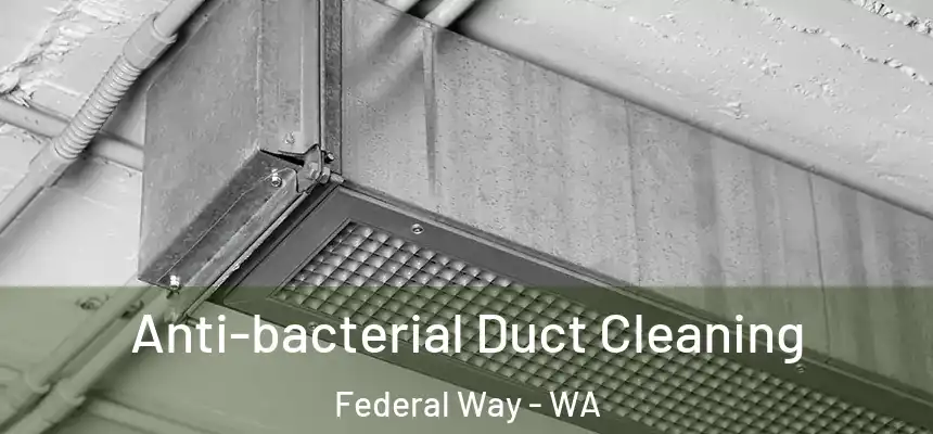  Anti-bacterial Duct Cleaning Federal Way - WA