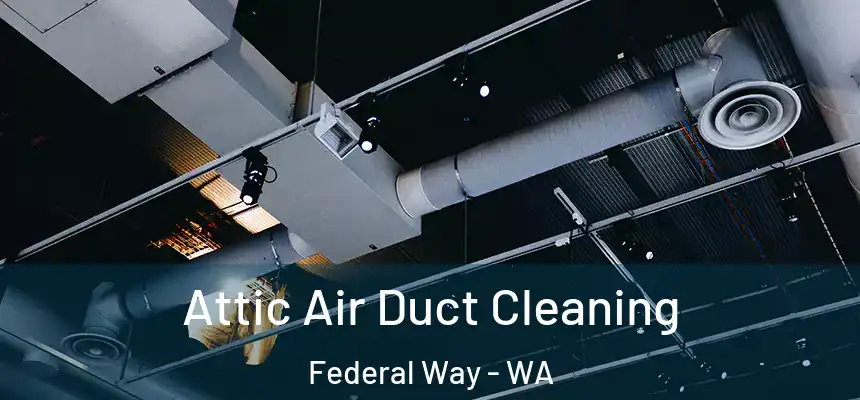  Attic Air Duct Cleaning Federal Way - WA