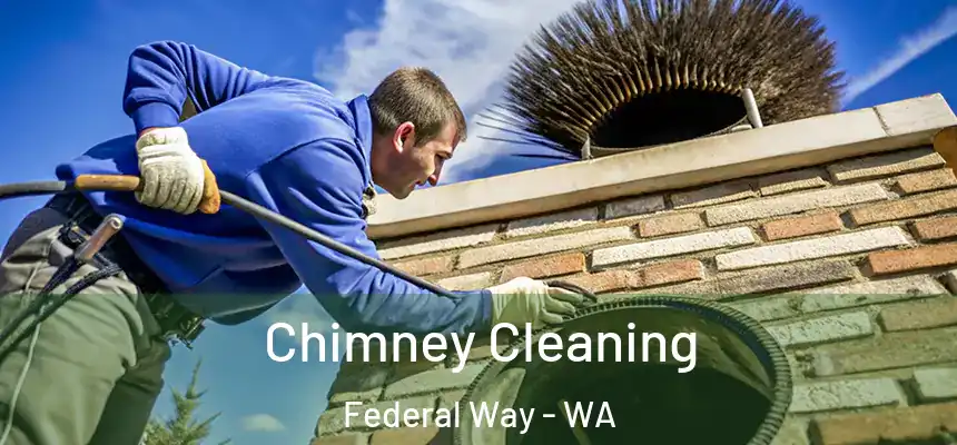 Chimney Cleaning Federal Way - WA
