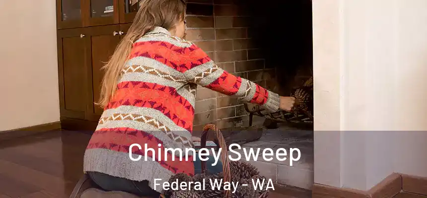 Chimney Sweep Federal Way - WA
