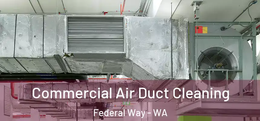 Commercial Air Duct Cleaning Federal Way - WA