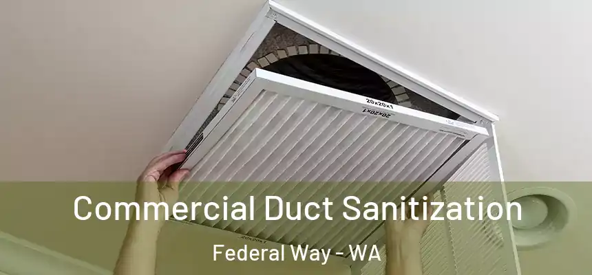  Commercial Duct Sanitization Federal Way - WA