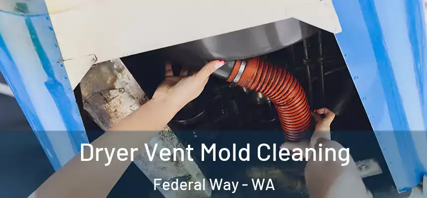  Dryer Vent Mold Cleaning Federal Way - WA