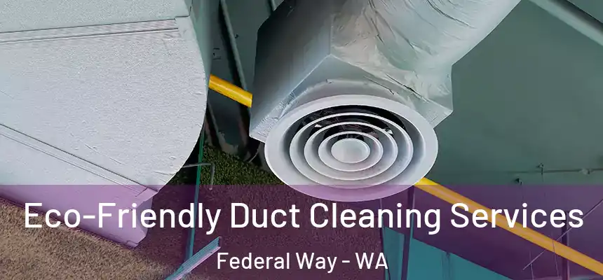 Eco-Friendly Duct Cleaning Services Federal Way - WA