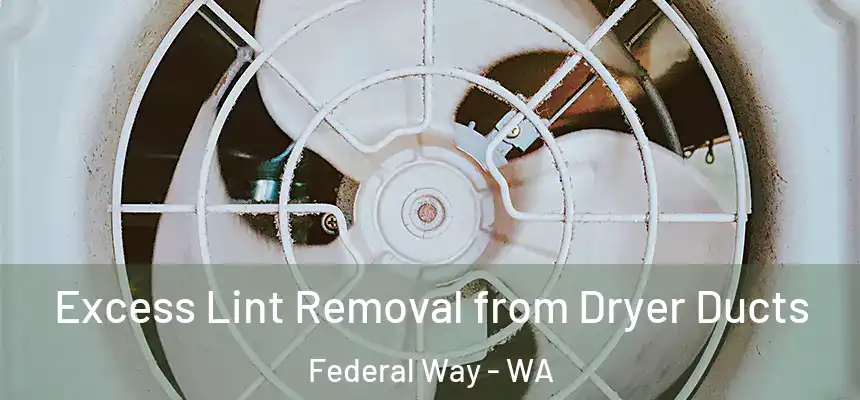 Excess Lint Removal from Dryer Ducts Federal Way - WA