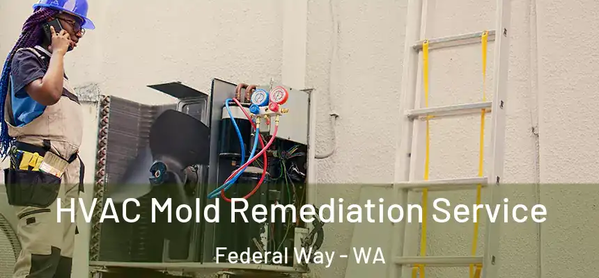  HVAC Mold Remediation Service Federal Way - WA