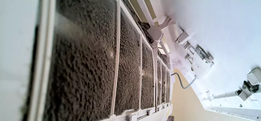 Preventive Air Duct Bacteria Removal in Federal Way