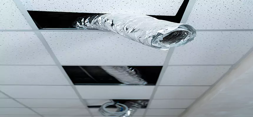 Our Air Duct Pet Hair Removal Services in Federal Way, WA