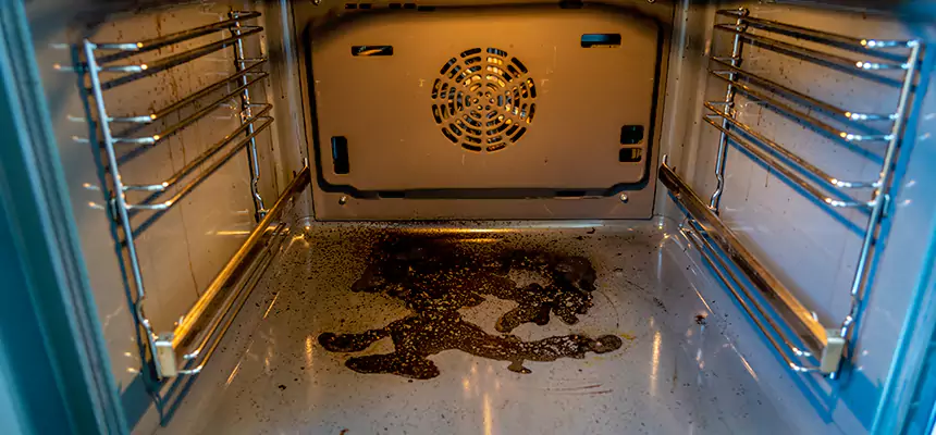 Our Dryer Vent Mold Cleaning Services in Federal Way, WA