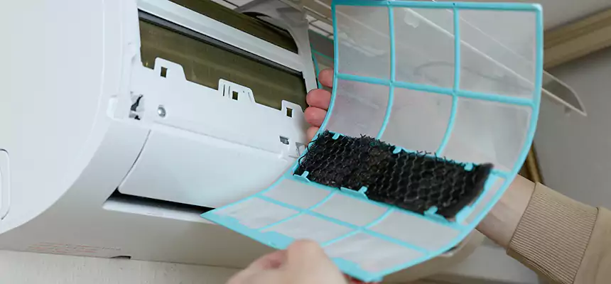 Gentle Ductwork Odor-Control Pet Dander Duct Cleaning in Federal Way, WA