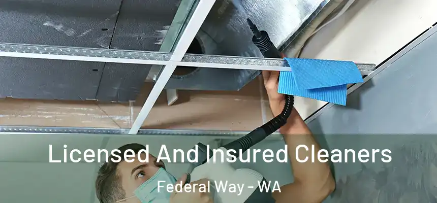 Licensed And Insured Cleaners Federal Way - WA
