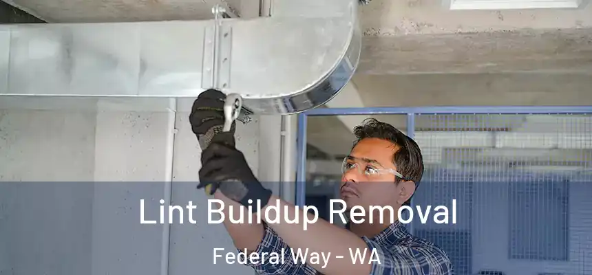 Lint Buildup Removal Federal Way - WA