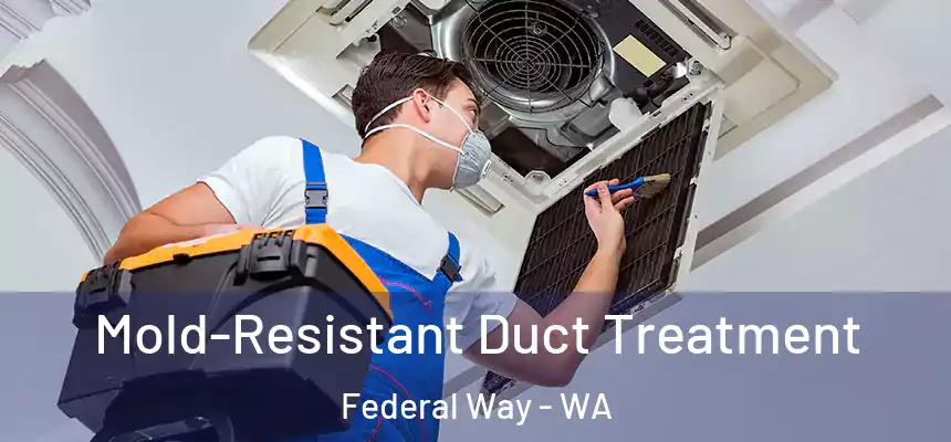 Mold-Resistant Duct Treatment Federal Way - WA
