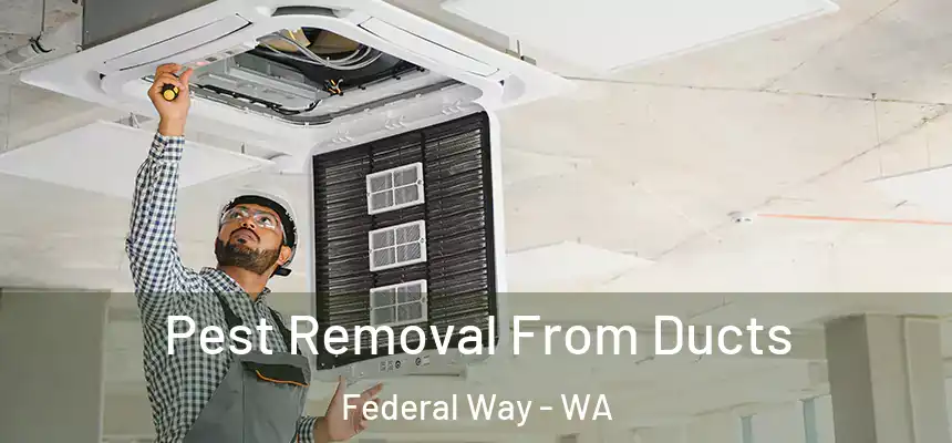 Pest Removal From Ducts Federal Way - WA