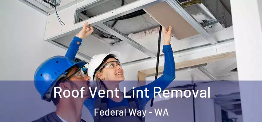  Roof Vent Lint Removal Federal Way - WA