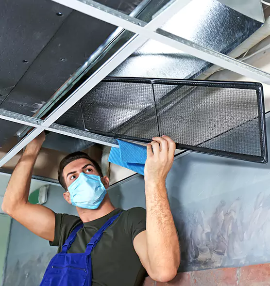 About Air Duct Bacteria Removal in Federal Way