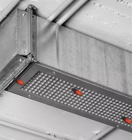 About Air Duct Cockroach Removal in Federal Way, WA