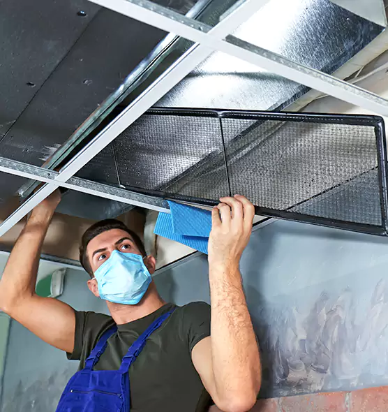 Professional Air Duct Pollen Cleaning in Federal Way, WA
