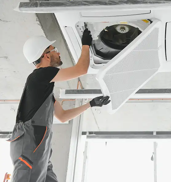 About Air Duct Rodent Removal in Federal Way, WA