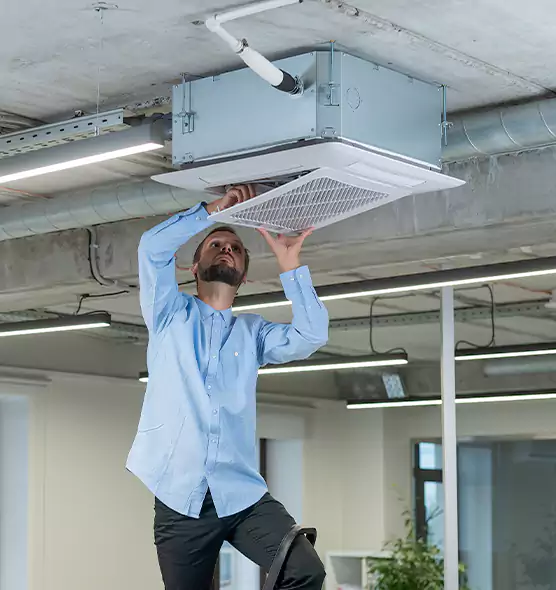 Advanced Rodent Droppings In Vents in Federal Way, WA