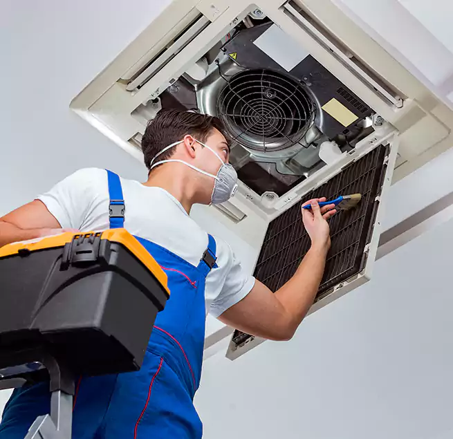 Why Homeowners & Businesses Trust Us in Federal Way, WA