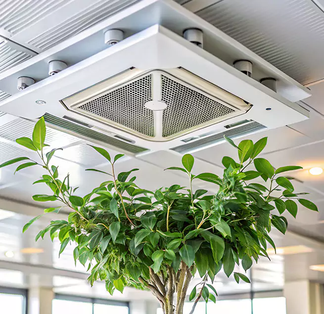 Why Homeowners & Businesses Trust Us in Federal Way, WA?