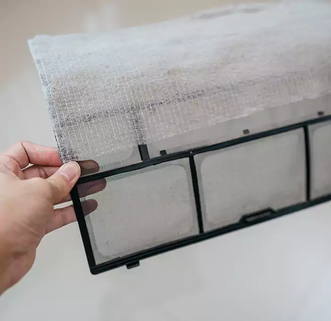 Why Homeowners & Businesses Trust Us in Federal Way, WA?