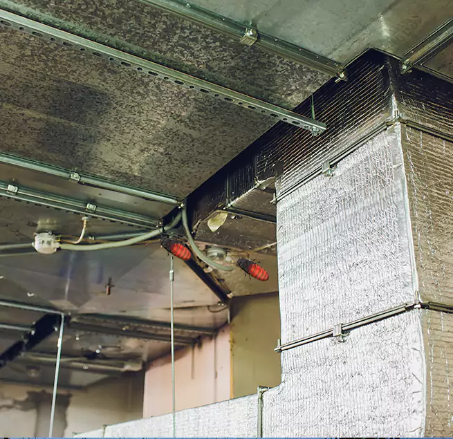 Why Homeowners & Businesses Trust Us Federal Way, WA?