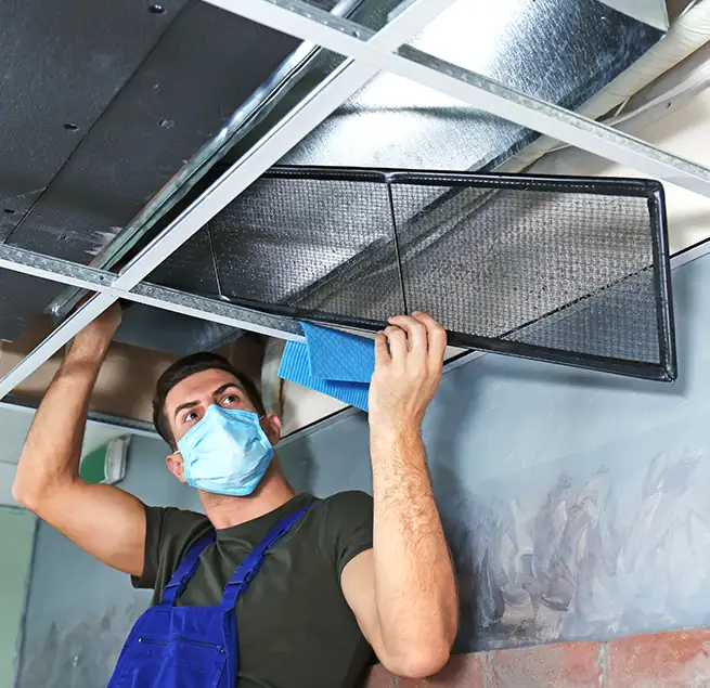 Why Homeowners & Businesses Trust Us in Federal Way, WA?