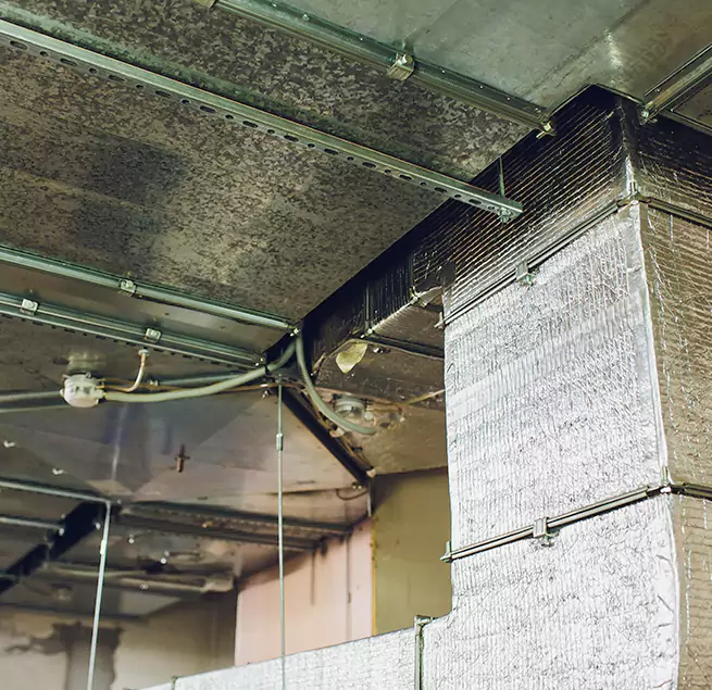 Why Homeowners & Businesses Trust Us in Federal Way, WA?