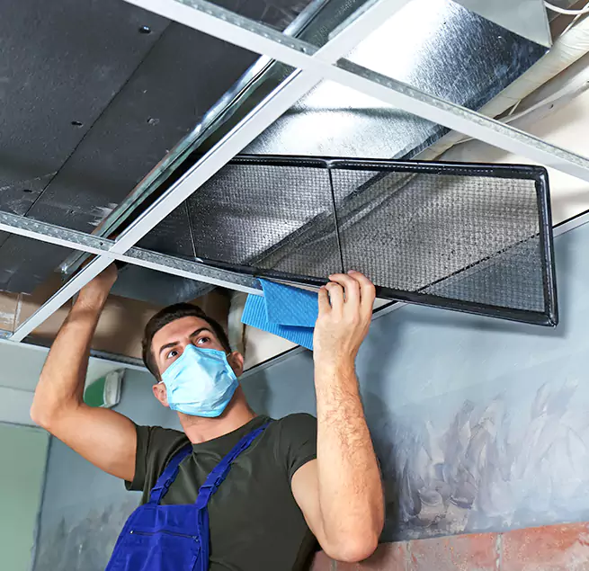 Why Homeowners Businesses Trust Us in Federal Way, WA?